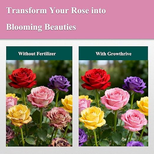 Rose Liquid Fertilizer 300ml – Organic Rose Plant Food with Probiotics, Natural Flower Fertilizer for Bigger Blooms, Greener Leaves & Healthy Roots – Concentrated 1:400 Formula