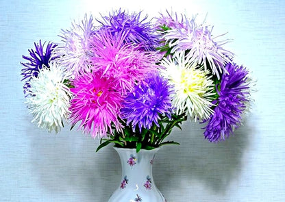 Needle Aster Seed Mix Multicolor 100 Seeds for Planting Non-GMO