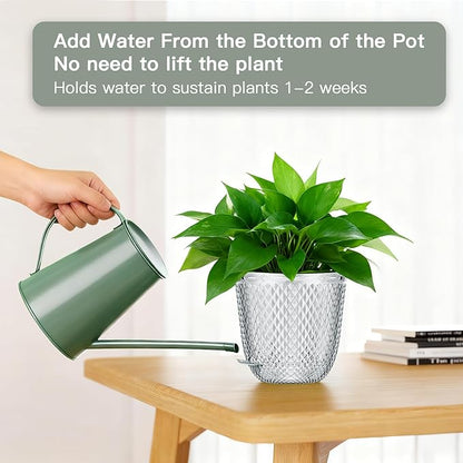 QCQHDU 2 Pack Self Watering Pots, 7.2 Inch Flower Pots with Drainage Holes and Water Filling Port, Garden Planter for Indoor Outdoor Plants (Clear)