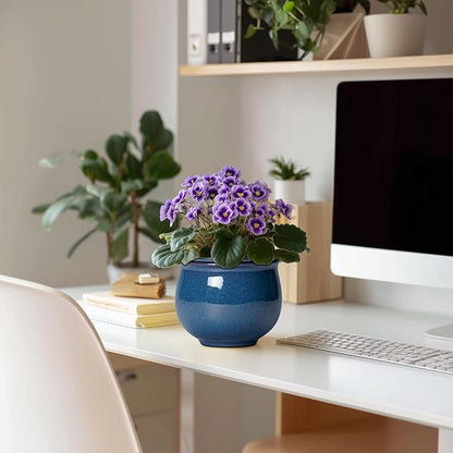 African Violet Pots, 6 Inch Ceramic Easy Self Watering Pots for Indoor Plant, Round Self Watering Planter with Absorbent Inner Pot, Ceramic Flower Pot, Room Decor, Plant Lover Gift, Retro Blue