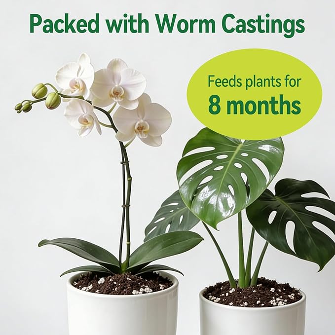 Zeedix Potting Soil Mix for Indoor Houseplant, Include Perlite, Compost, Peat Moss, Coco Coir and Vermiculite, Well Draining Potting Mix, Promote Healthy Root Development and Faster Plant Growth, 6qt
