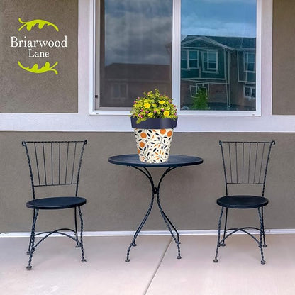 Briarwood Lane Citrus and Vines Medium Planter