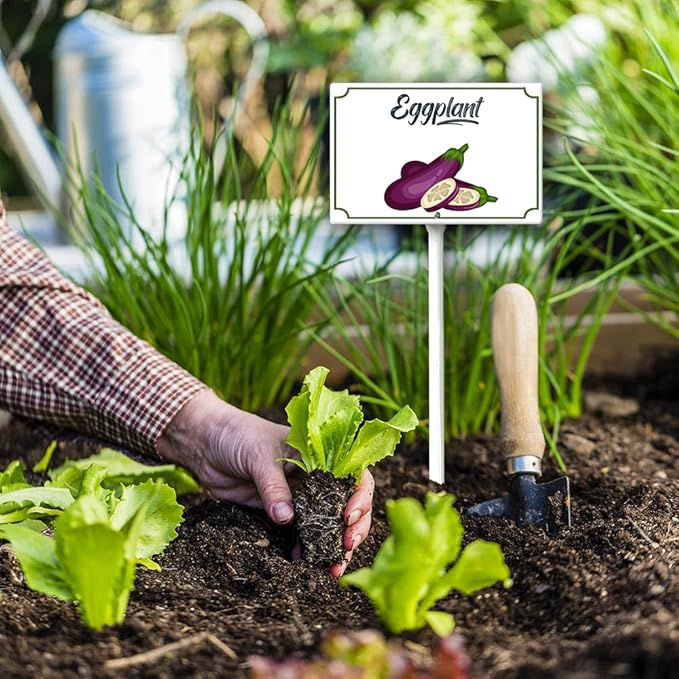 Boylee 8x12inch Eggplant Garden Signs with Stake for Vegetables, Herbs, Flowers, Potted Plants