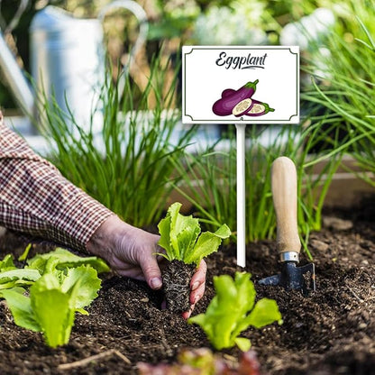 Boylee 8x12inch Eggplant Garden Signs with Stake for Vegetables, Herbs, Flowers, Potted Plants