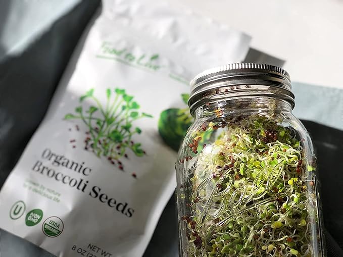 Food to Live Organic Broccoli Seeds for Sprouting, 2.5 Pounds – Non-GMO, Vegan, Kosher, Sirtfood, Bulk. Rich in Sulforaphane, Vitamin C. Grow Sprouts, Microgreens for Salads, and Sandwiches