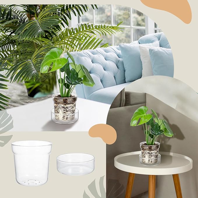 Baderke 4 Inch and 6 Inch Glass Plant Pots with Saucer, Flower Nursery Plant Pots with Drainage for Flower Seed Starter Transparent Seedling (2 Sets)