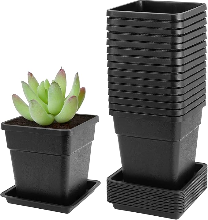 JEUIHAU 16 Packs 5.5 Inch Plastic Square Nursery Pots, Black Square Nursery Plant Pot with Saucers, Seedling Nursery Transplanting Planter for Flower, Succulent, Herb, Small Potted Plants