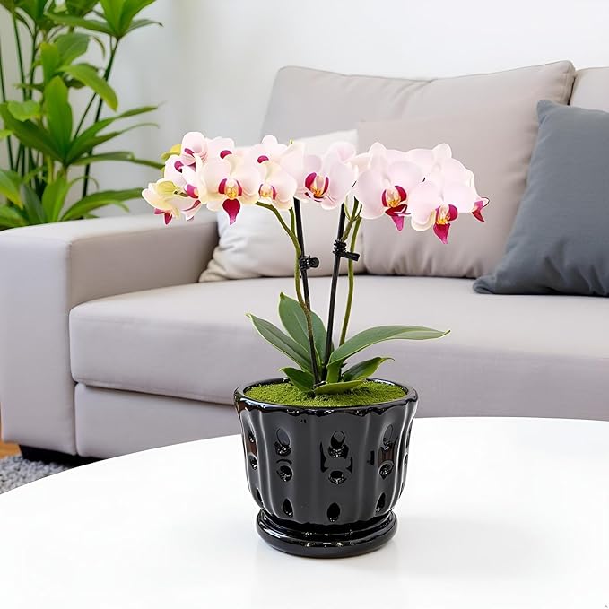 Ceramic Orchid Pot with Attached Saucer and Drainage Hole 6'' Orchid Planter (Black)
