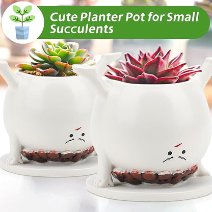Smily Face Planter Pots Head, Flower Pot Planters for Indoor Outdoor, Happy Succulent Pot, Funny Plant Pots for Succulent with Drainage Holes Gift Ideas for Mother's Day, Birthday, Teacher Gifts