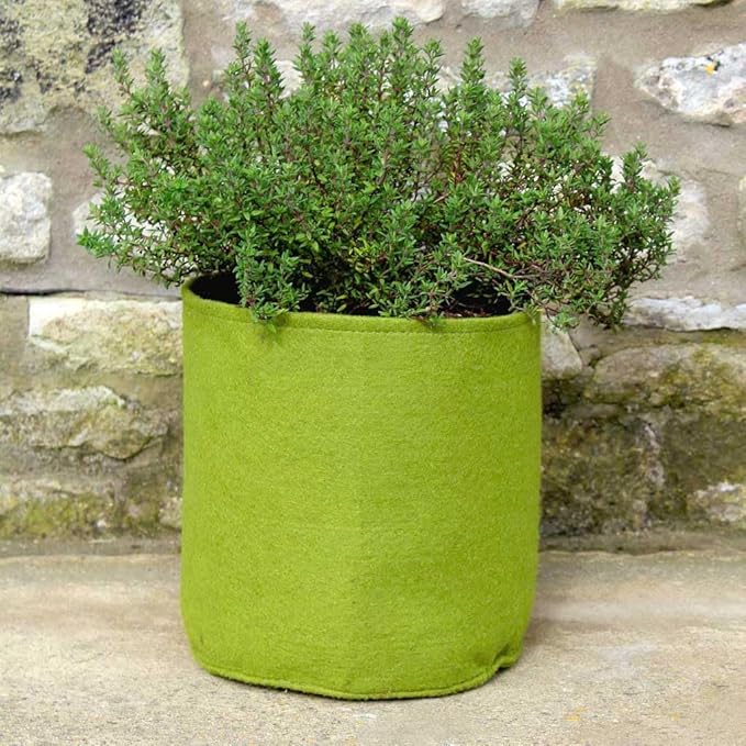 Tierra Garden 50-VIG08 Haxnicks 1.3 Gallon Vigoroot Pots, 3-Pack