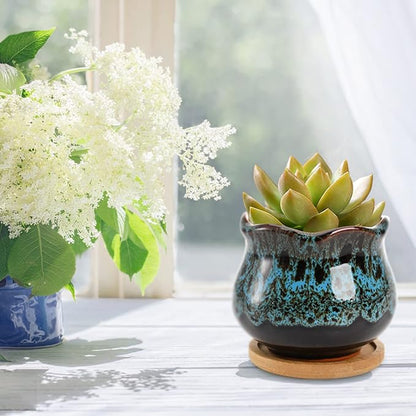TOPZEA Set of 6 Succulent Plant Pots, 4 Inch Glazed Ceramic Cute Plant Pots with Drainage and Saucer, Mini Bonsai Planter Small Cactus Flower Pots for Indoor Outdoor Use