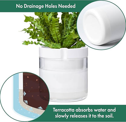 Phoenix Vine 8 Inch Self Watering Planter, White Terracotta Clay Pot with Glass Reservoir for Indoor Plants, Herbs, Flowers, Set of 1, 52-B-H-1