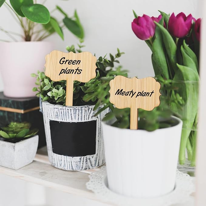 KINGLAKE GARDEN Bamboo Plant Labels, 60PCS Garden Markers, Wooden Plant Signs for Seedlings, Vegetable Seedling Labels