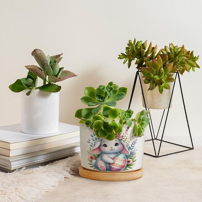 DreamAutumn Easter Bunny Rabbit Ceramic Planters Ceramic Pots with Saucers Orchid Pots for Plants Succulents Pots Office Desk Garden Balconys New Home Decor,Gifts for Mom Mother Grandmother