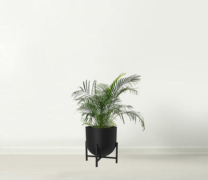 Olly & Rose Plant Pot with Plant Stand - Metal Plant Pots Indoor Planter 22cm Large Flower Pot (Black)