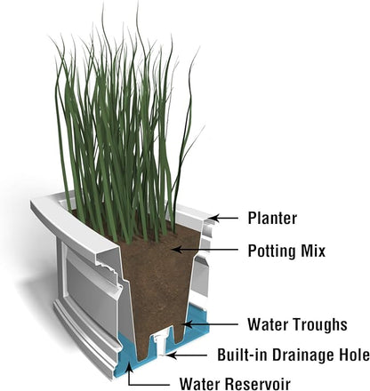Mayne Nantucket 2-Foot Window Box – Self-Watering, Weather-Resistant Planter for Flowers – Durable Design for Outdoor Use, Perfect for Windows