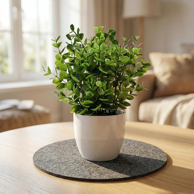 8 Inch Felt Plant Coasters, 6 Pcs Extra Thick Planter Coaster, Absorbent Fabric Plant Mats, Plant Coasters for House Plants