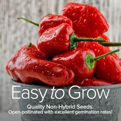 Gardeners Basics, Pepper Seeds for Planting 8 Varieties Pack, Jalapeno, Habanero, Bell Pepper, Cayenne, Hungarian Hot Wax, Anaheim, Serrano, Cubanelle Heirloom Seeds for Planting in Garden Non GMO