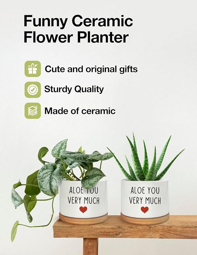 You Very Much- White Ceramic Engraved Mini Succulent Aloe Cactus Planter Pot, Funny Plant Pots Indoor Flower Plant Pots for Home Office Windowsill Levitating Plant Pot Gifts, 3.8 inch