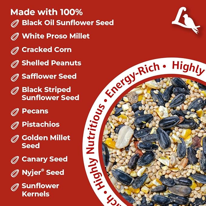 Lyric Supreme Wild Bird Seed for Outside Feeders - Wild Bird Food Mix with Nuts & Sunflower Seeds, Attracts Many Beautiful Songbirds, 13.5 lb (Pack of 3-4.5 lb Bags)