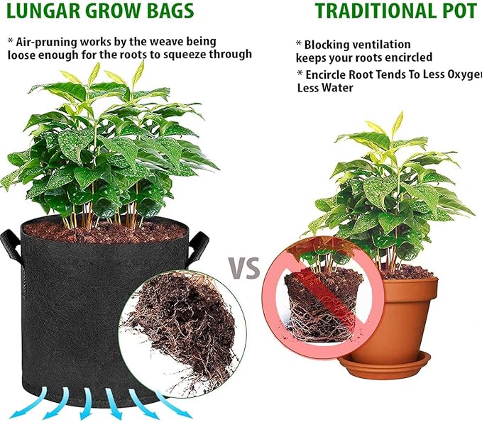 Plant Grow Bags 10 Gallon 5 Packs Planter Pot, Thickest Aeration 300G Non-Woven Fabric, Reinforced Handles for Weatherproof Nursery Pot, Enhanced Double Seam