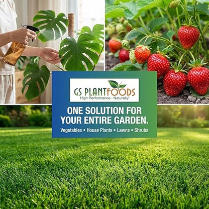 GS Plant Foods Liquid Fish & Kelp Fertilizer (55 Gallons) – Organic Material Review Institute Listed Natural Plant Food for Home Gardens, and Vegetables