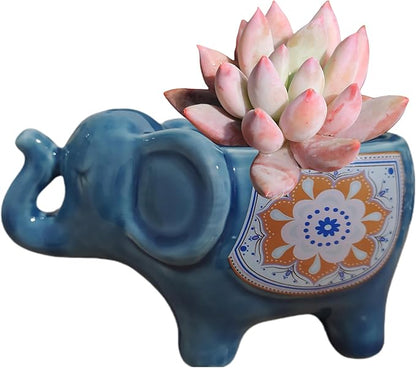 Cute Animal Elephant Shaped Ceramic Succulent Cactus Air Plant Flower Pots Planters-Plant Not Included (Deep Blue)