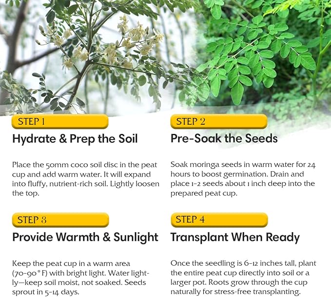 Moringa Oleifera Growing Kit, Moringa Seeds Complete Starter Set with 2 oz Seeds, 5 Peat Pots, Soil Discs, Plant Markers, Fast Growing Drought Resistant