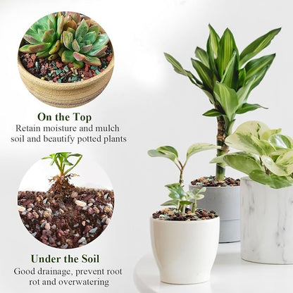 26.8" X 26.8" Repotting Mat for Indoor Plants and 5 lbs Succulent Cactus Soil Potting Mix,Perfect for Gardener