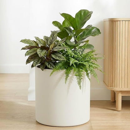 Metal Plant Pot with Drainage Hole,Mid Century Modern 7 inch Round Pot Indoor Outdoor Planters for Decorative Pots of Tabletop Living Room Bedroom Beige