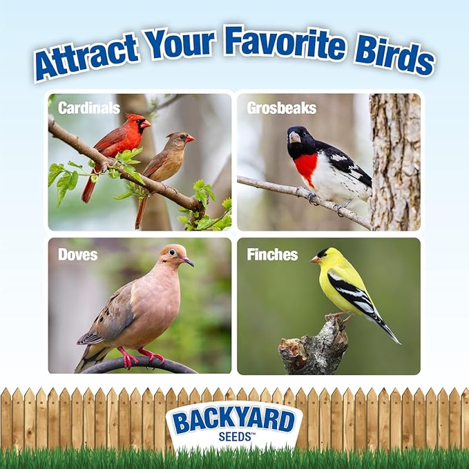 CountryMax Backyard Seeds Berries 'N Fruit Bird Seed Mix 40lbs - Premium Blend with Dried Fruit & Berries, Large Bag of Wild Bird Food