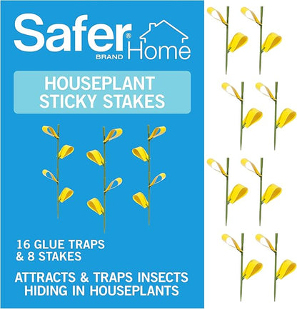 Safer Brand Home SH5026 Houseplant Sticky Stake Insect Traps for Indoor Plants - 16 Traps Included - Controls Aphids, Whiteflies, Fruit Flies, Fungus Gnats, and Other Insects