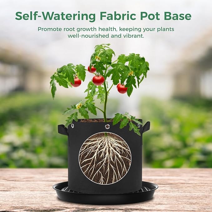 OMISTAR 4 Pack 12 Inch Round Plastic Plant Saucer, Heavy Duty Plant Pot Hole Mesh Drip Trays with Fabric Pot Base, Automatic Watering Plant Saucer for Indoor Planters Flower Pots (Black)