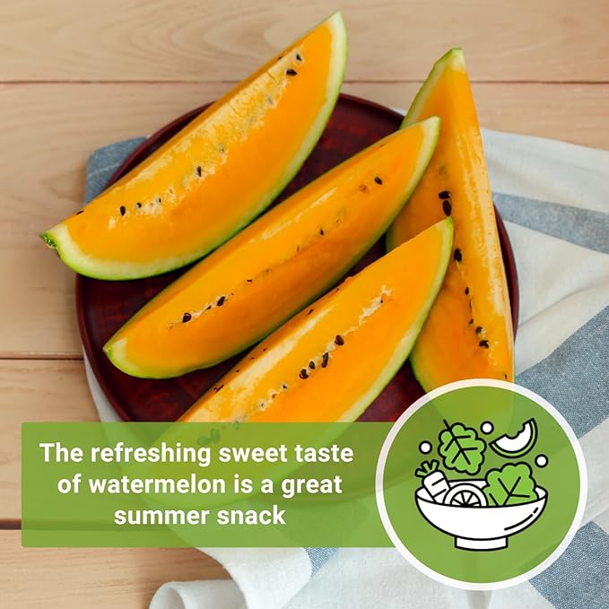 Sow Right Seeds - Tendersweet Watermelon Seeds for Planting - Non-GMO Heirloom Seeds to Plant a Home Vegetable Garden - Unique Orange Flesh Melon - Sweet Summer Treat to Grow Outdoors (3)