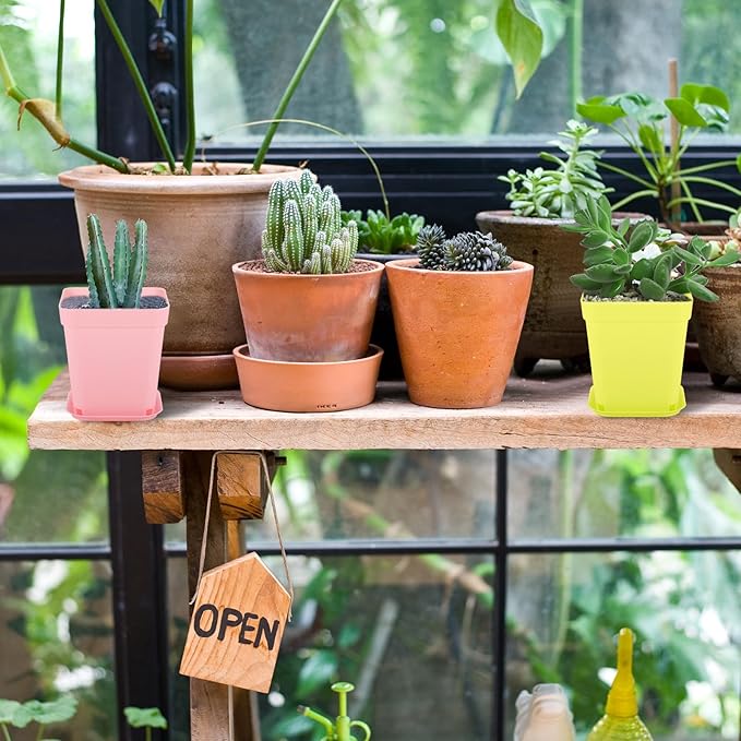 Tioncy 100 Pcs 3 Inch Mini Plant Pots with Tray, Colorful Plastic Plant Pots Flower Seedling Pots Nursery Pots with Saucers for Garden, Indoor Outdoor, Home, Office, Balcony Decor