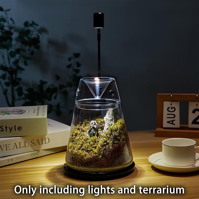 Glass Plant Terrarium with Lid 6.3"X7.9" Inches Succulent Air Planter Fern Moss Micro-Landscape Vase for Home Office Tabletop Decoration Container Indoor Wardian Copyright Patent（with Light）