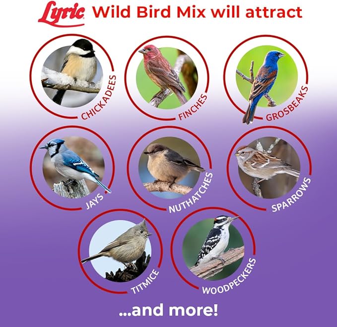 Lyric Wild Bird Mix - Includes Corn, Nuts, and Wild Bird Seed for Outside Feeders, Attracts Doves, Jays and Many More, 40 lb Bag