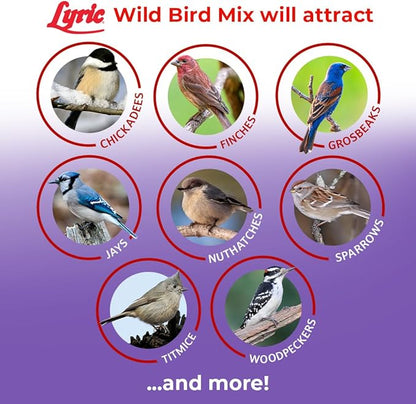 Lyric Wild Bird Mix - Includes Corn, Nuts, and Wild Bird Seed for Outside Feeders, Attracts Doves, Jays and Many More, 40 lb Bag