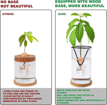 2 Pack Avocado Tree Growing Kits - Avocado Growing Vase - Avocado Seed Starter Vase Glass Plant Pot Easy Seed Sprout Starter Gift for Women Gardening Lovers Home Office (Black)