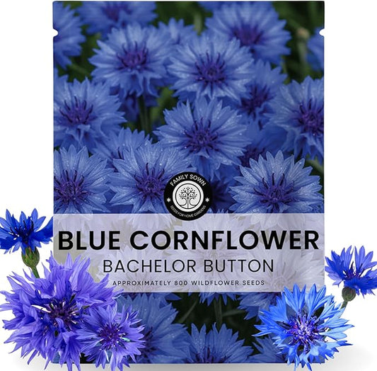 Blue Cornflower – 800 Seeds for Planting – 2026 Season – 5 Gram Pouch