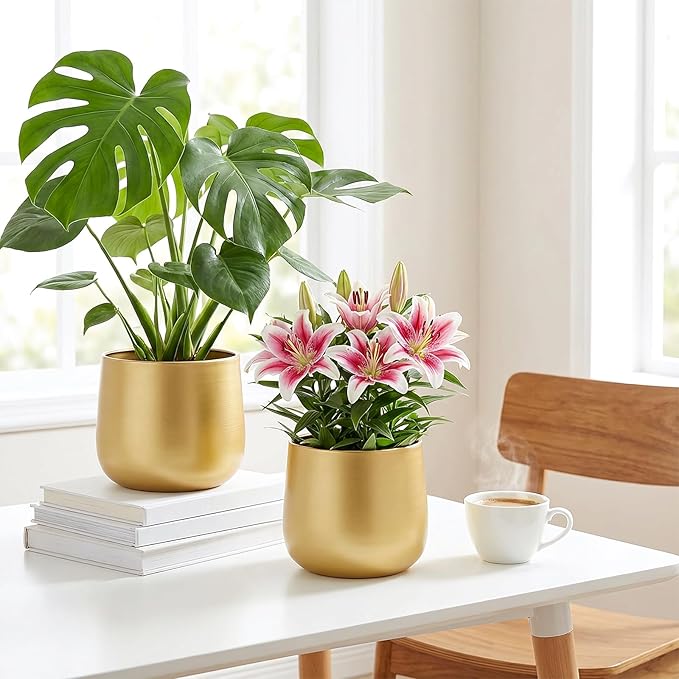 6.3'' Gold Plant Pots Vase for Indoor Plants, Metal Planters with Drainage Hole Waterproof Liner, Set of 2 Modern Decorative Round Gold Planter for Tabletop Succulents Snake Cactus