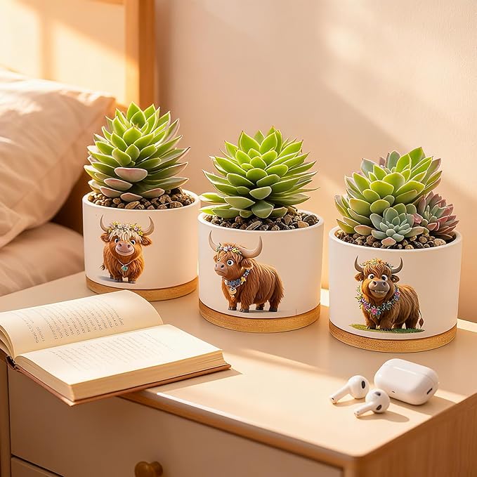 Highland Cow Planters for Indoor Plants – 1350°C Kiln-Fired Fine Ceramic Succulent Planter Set of 3, Funny Animal Pots for Room, Bathroom, Yoga, Meditation Decor (No Plant Included)