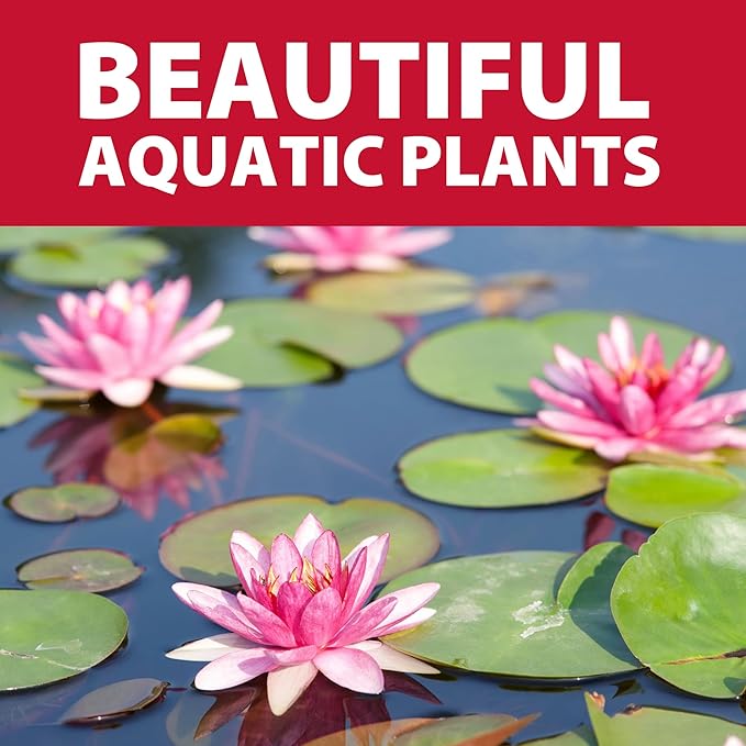 The Pond Guy Small Black Outdoor Planting Kit - Bag & Soil for Water Lilies & Bog Plants - 6 Quarts - Rectangular - Modern - Aeration - Adaptable Shape