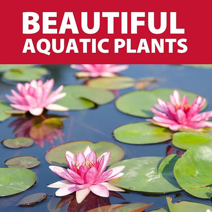 The Pond Guy Small Black Outdoor Planting Kit - Bag & Soil for Water Lilies & Bog Plants - 6 Quarts - Rectangular - Modern - Aeration - Adaptable Shape