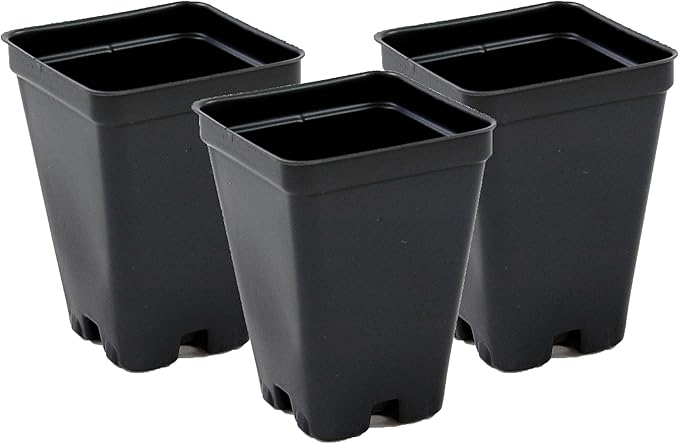 2.5 inch Square Greenhouse Pots - Black - Plastic - Deep - 25 Pack by Growers Solution