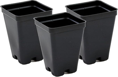 2.5 inch Square Greenhouse Pots - Black - Plastic - Deep - 25 Pack by Growers Solution