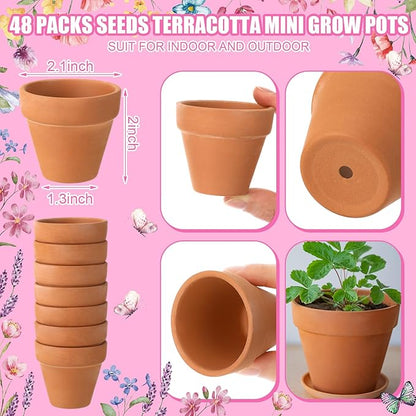 Baby Shower Party Favors Baby in Bloom Envelopes Seed Packets Include 48 Mini Terracotta Pots Seed Packets 48 Self Adhesive Envelopes Thank You Tags Gifts for Party