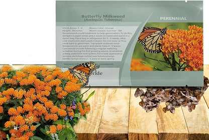 Outsidepride Butterfly Milkweed Seeds - 1000 Pcs Perennial, Heat & Humid Tolerant, Pollinator-Friendly Wildflower Seeds, Ideal for Monarch Butterflies, Cut Flowers, Borders, or Meadows