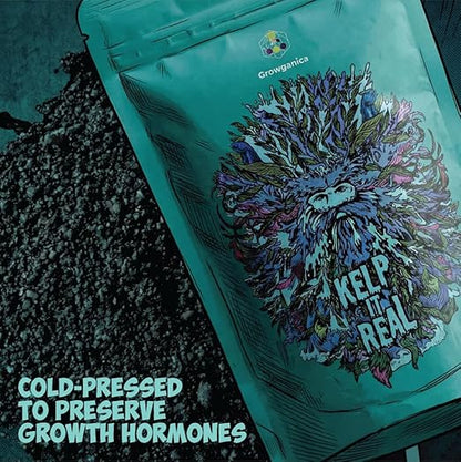 Kelp it Real Organic Seaweed Fertilizer for Plants - Makes 200 gallons - OMRI Listed - Vegan Certified - for Indoor Gardeners, Houseplants, Fruits, Vegetables, Hydroponics - (8oz)
