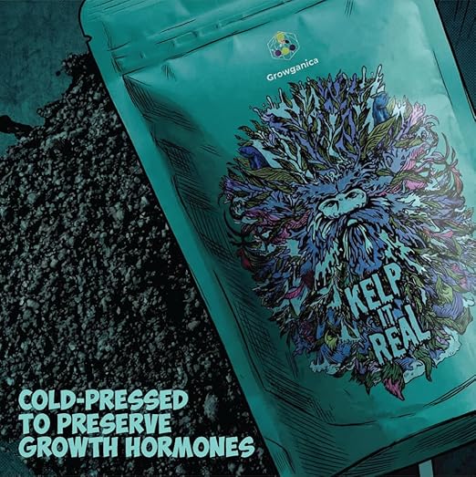 Kelp it Real Organic Seaweed Fertilizer for Plants - Makes 400 gallons - OMRI Listed - Vegan Certified - for Indoor Gardeners, Houseplants, Fruits, Vegetables, Hydroponics (1lb)